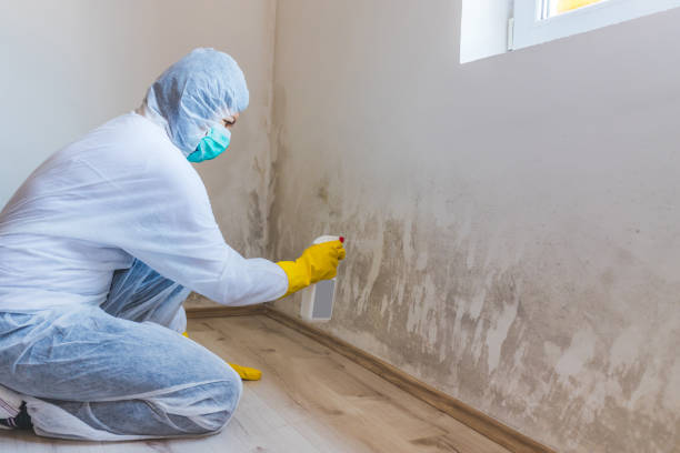 Licensed Attic Mold Remediation service in Urbanna, VA - 24 Hour Mold Removal