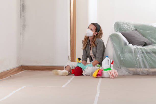 Reliable Attic Mold Remediation contractor in Urbanna, VA by 24 Hour Mold Removal