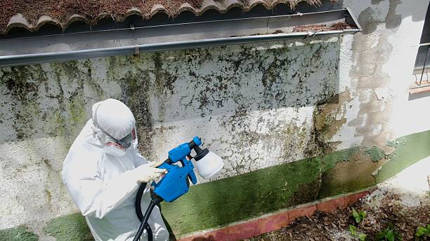 Top rated local Attic Mold Remediation specialists in Urbanna, VA